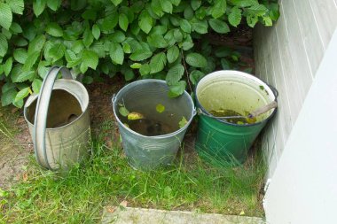 Bahçede yağmur suyu, iklim ısınması ve kuraklık ve bahçenin doğal sulamasıyla başa çıkmanın yolları için duran kovalar ve sulama konserveleri.