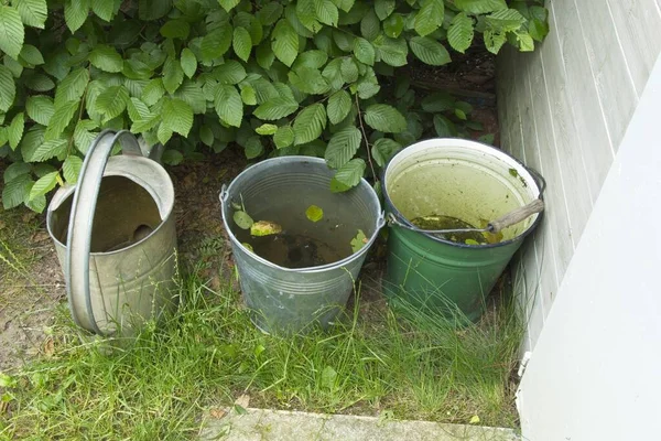 Bahçede yağmur suyu, iklim ısınması ve kuraklık ve bahçenin doğal sulamasıyla başa çıkmanın yolları için duran kovalar ve sulama konserveleri.