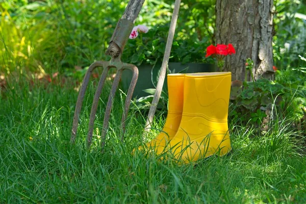 Yabanın yanındaki çimlerin üzerinde duran sarı Wellingtonlar. Bahçe işleri için gerekli ekipman, dekoratif Wellingtons ve bir yaba.          
