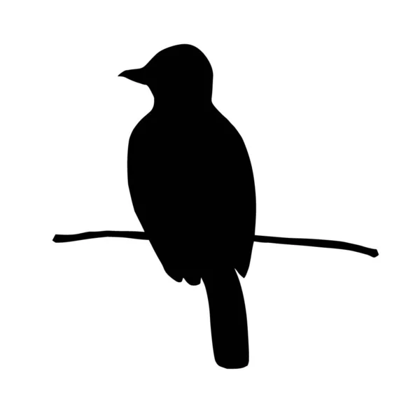Sílhueta Vetorial Pássaro Sobre Fundo Branco — Vetor de Stock