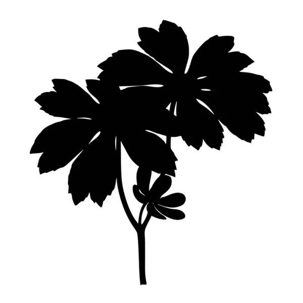 Vektor Silhouette Der Blume Auf Weißem Hintergrund — Stockvektor