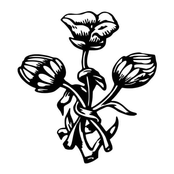 Διάνυσμα Σιλουέτα Της Λουλούδι Λευκό Φόντο — Διανυσματικό Αρχείο