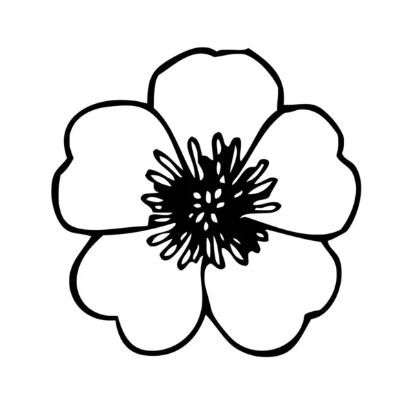 Vector Silhouette Flower White Background — Stock Vector