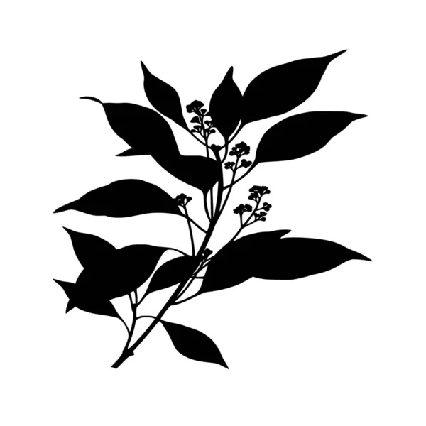 Vector Σιλουέτα Του Φυτού Λευκό Φόντο — Διανυσματικό Αρχείο