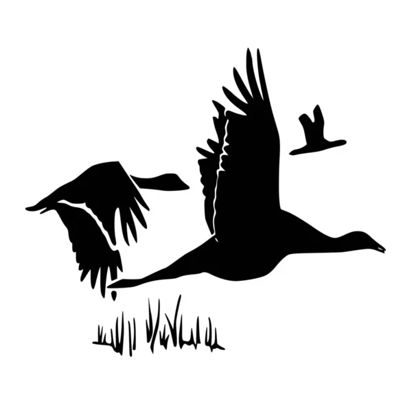 Vektor Silhouette Des Vogels Auf Weißem Hintergrund — Stockvektor