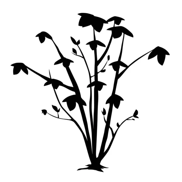 白地植物のベクトルシルエット — ストックベクタ