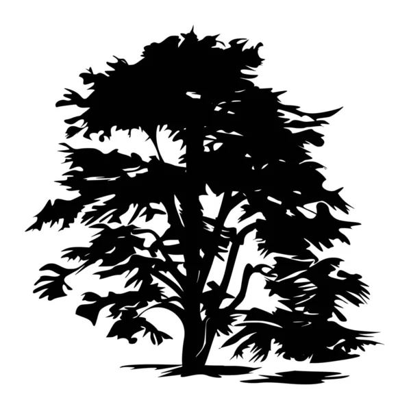 Ağaç Beyaz Zemin Üzerine Siluet Vektör — Stok Vektör