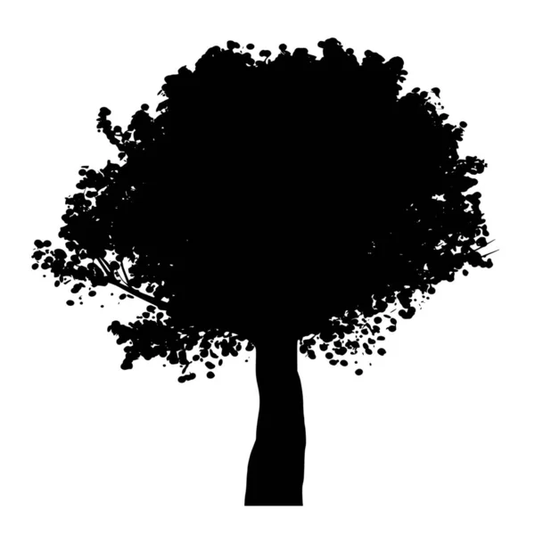 树在白色背景上的向量轮廓 — 图库矢量图片