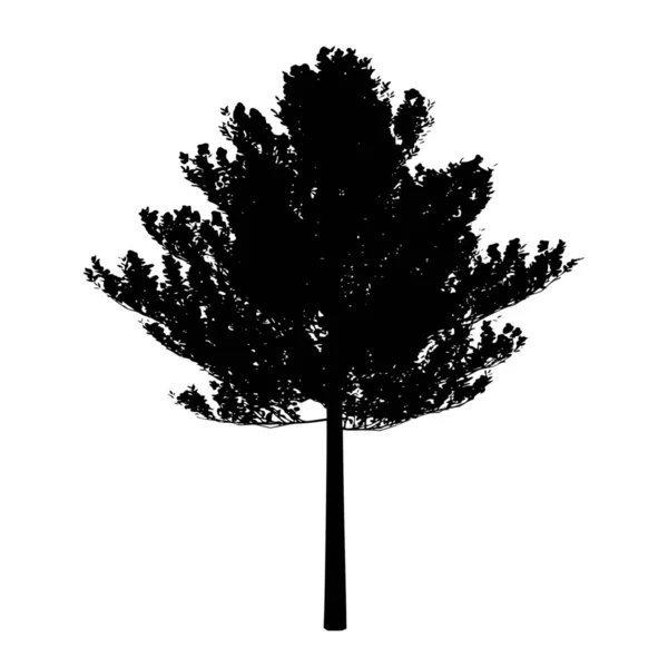 Vektorové Siluetu Stromu Bílém Pozadí — Stockový vektor
