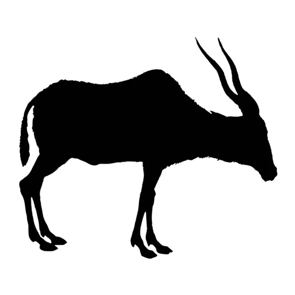 Vektorová Silueta Antilopy Bílém Pozadí — Stockový vektor