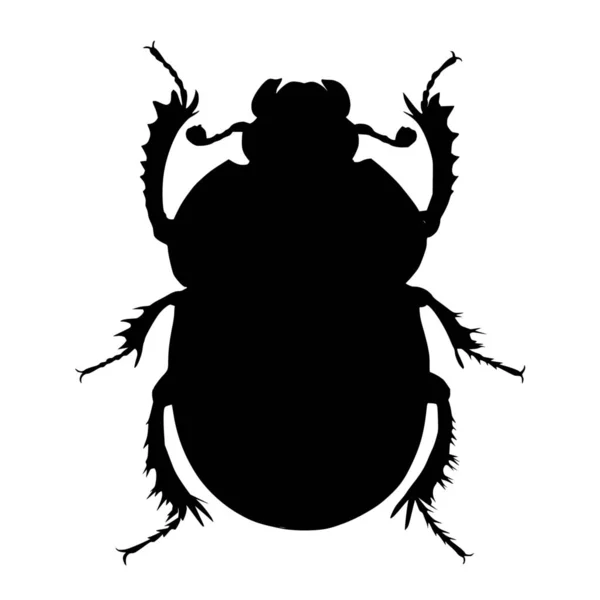 Siluet Vektor Kumbang Pada Latar Belakang Putih - Stok Vektor