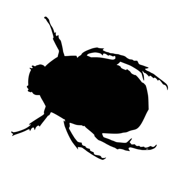 Vector Silhouette Beetle White Background — Stock Vector