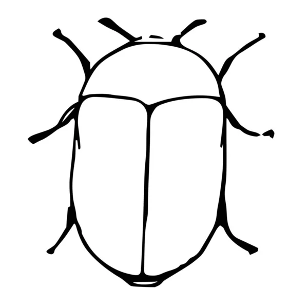 白を基調とした甲虫のベクトルシルエット — ストックベクタ