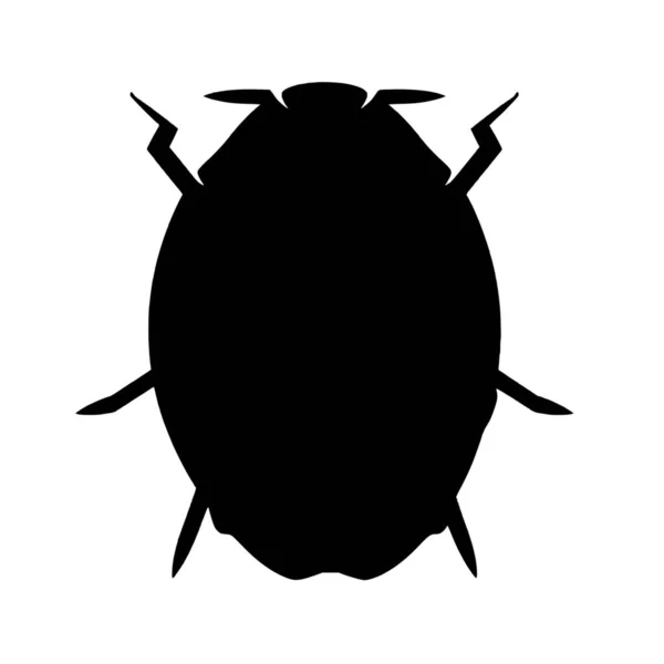 Siluet Vektor Kumbang Pada Latar Belakang Putih - Stok Vektor