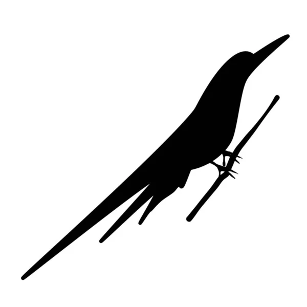 Beyaz Arkaplanda Kuşun Vektör Silueti — Stok Vektör