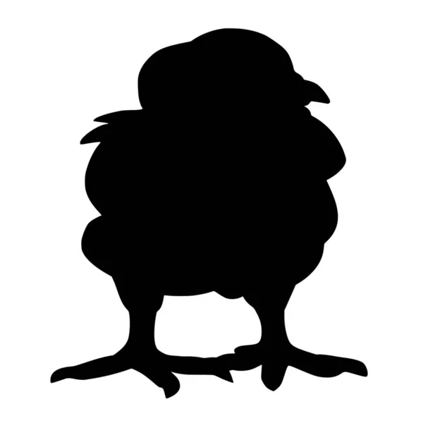 Vector Silhouette Chick White Background — Stock Vector