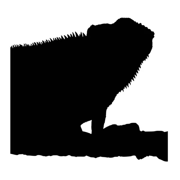 Vektorsilhouette Des Leguans Auf Weißem Hintergrund — Stockvektor