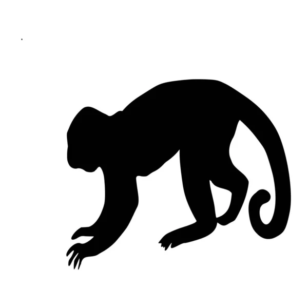 Vektorsilhouette Des Affen Auf Weißem Hintergrund — Stockvektor