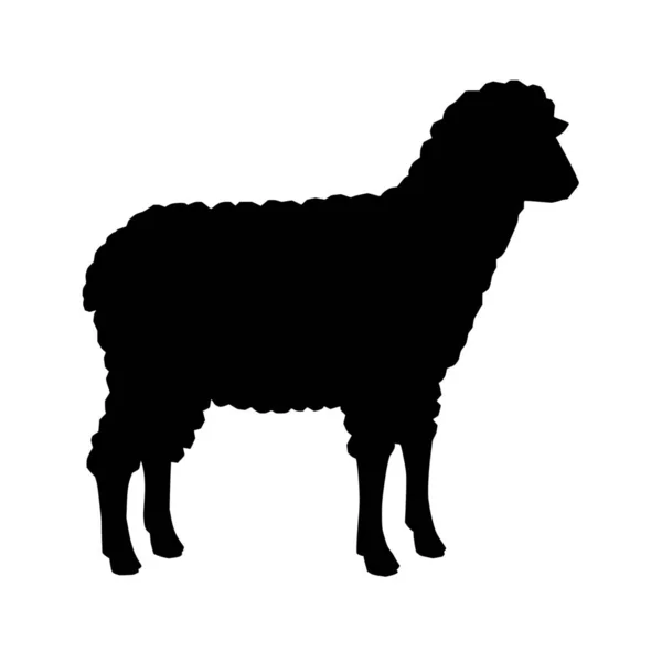 Siluet Vektor Domba Pada Latar Belakang Putih - Stok Vektor