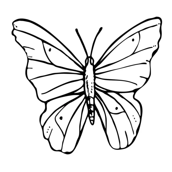 Silueta Vektor Motýla Bílém Pozadí — Stockový vektor
