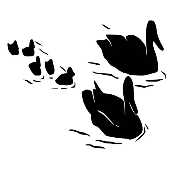 白色背景下鸭的矢量轮廓 — 图库矢量图片