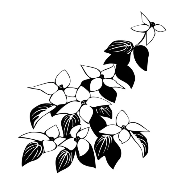 Silhouette Vettoriale Fiore Sfondo Bianco — Vettoriale Stock