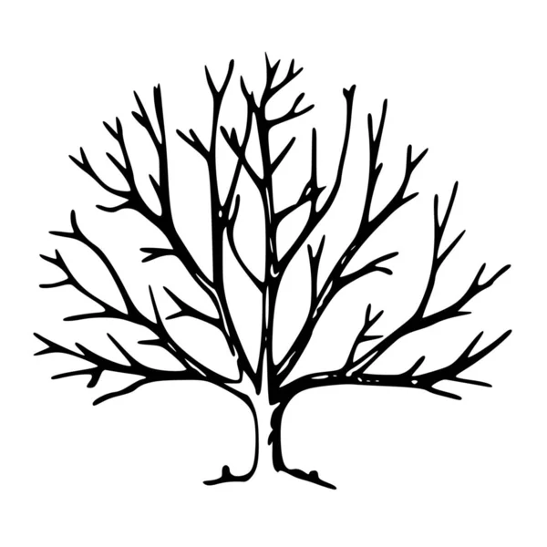 Διάνυσμα Σιλουέτα Του Δέντρου Άσπρο Φόντο — Διανυσματικό Αρχείο