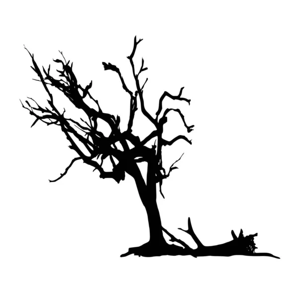 Векторный Силуэт Дерева Белом Фоне — стоковый вектор
