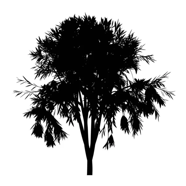 Векторный Силуэт Дерева Белом Фоне — стоковый вектор