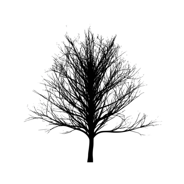 Vector Silhouette Tree White Background — Stock Vector