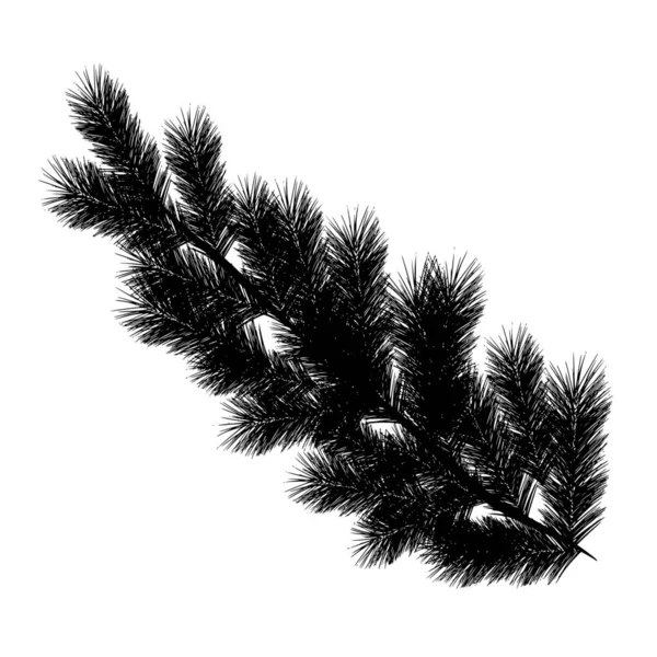 Векторный Силуэт Ветви Дерева Белом Фоне — стоковый вектор