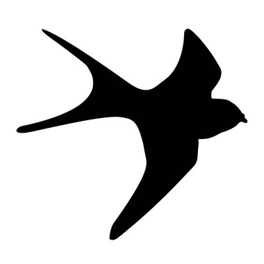 Kırlangıç kuşunun beyaz zemin üzerindeki vektör silueti