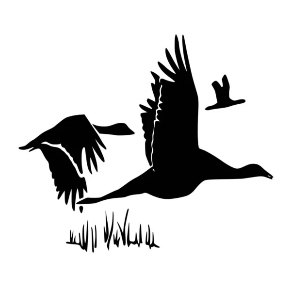 白地に鳥のベクトルシルエット — ストックベクタ