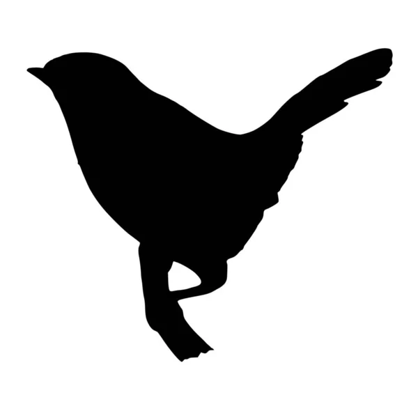 Silueta Vectorial Pájaro Sobre Fondo Blanco — Vector de stock