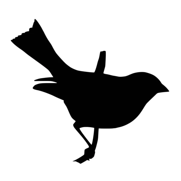 Векторный Силуэт Птицы Белом Фоне — стоковый вектор