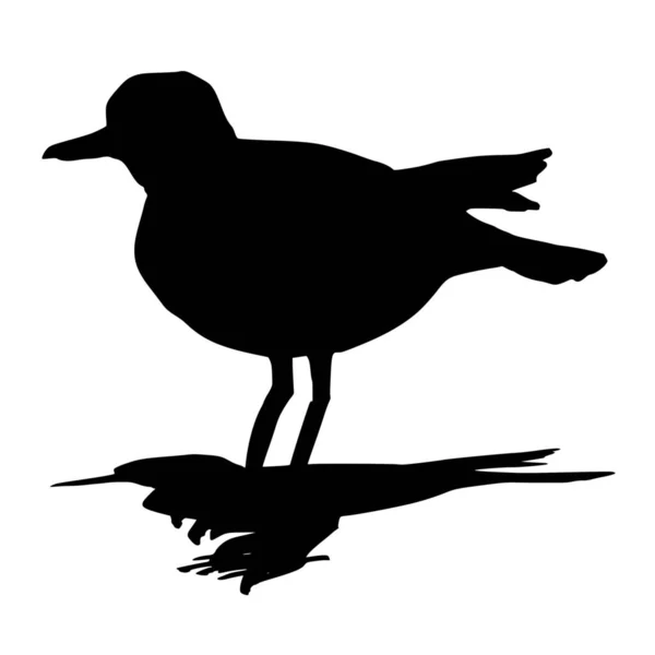 Vector Silhouette Bird White Background — Stock Vector