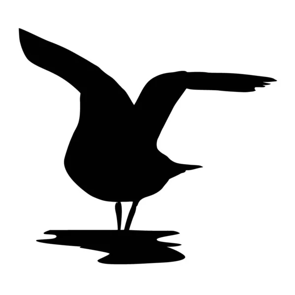 Vektorová Silueta Ptáka Bílém Pozadí — Stockový vektor