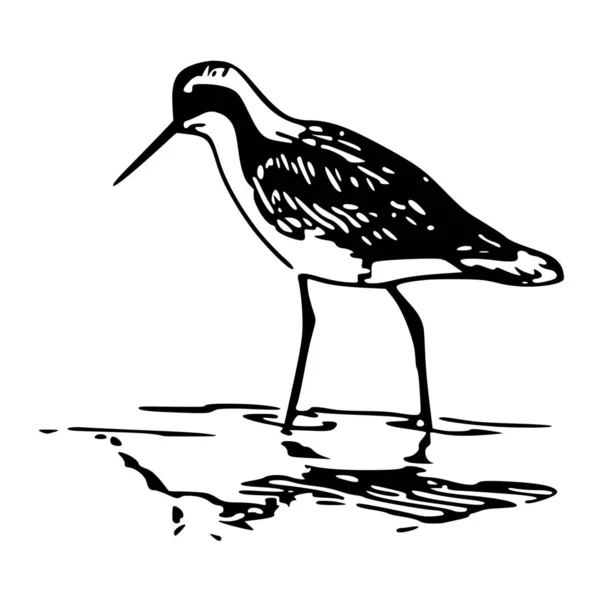 Silhouette Vettoriale Uccello Sfondo Bianco — Vettoriale Stock