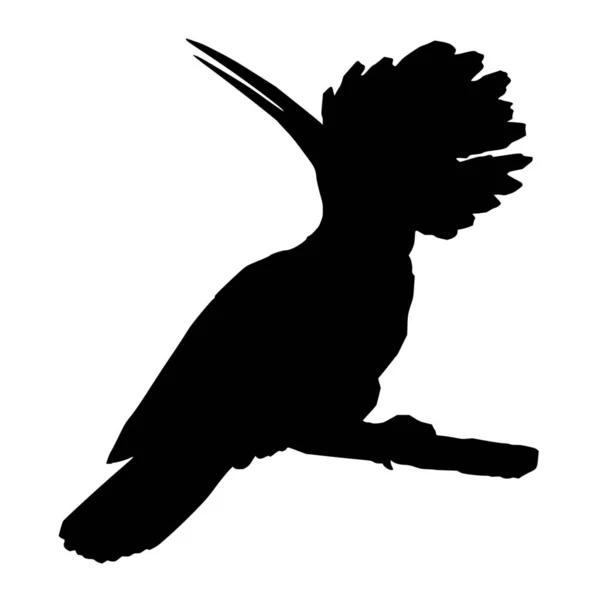 Vector Silhouette Bird White Background — Stock Vector