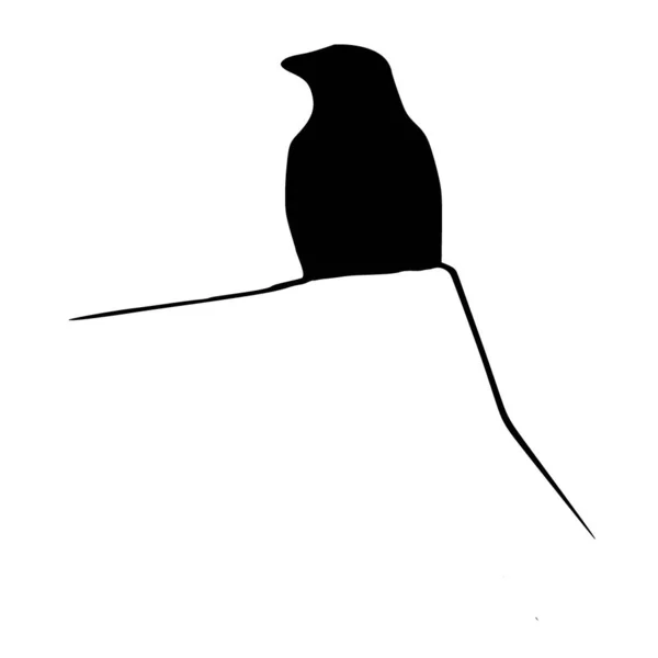 Векторний Силует Птаха Білому Тлі — стоковий вектор