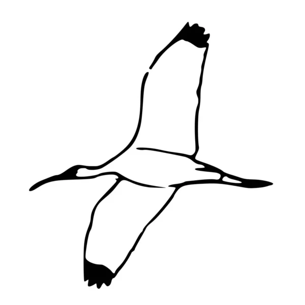 Векторний Силует Птаха Білому Тлі — стоковий вектор