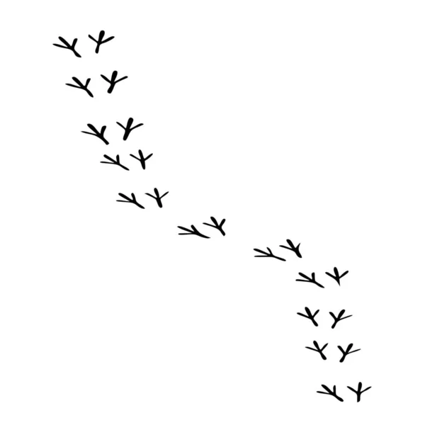 Silhouette Vectorielle Empreintes Oiseaux Sur Fond Blanc — Image vectorielle