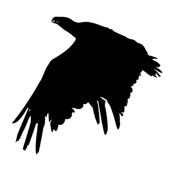 Vector Silhouette Eagle White Background — Stock Vector