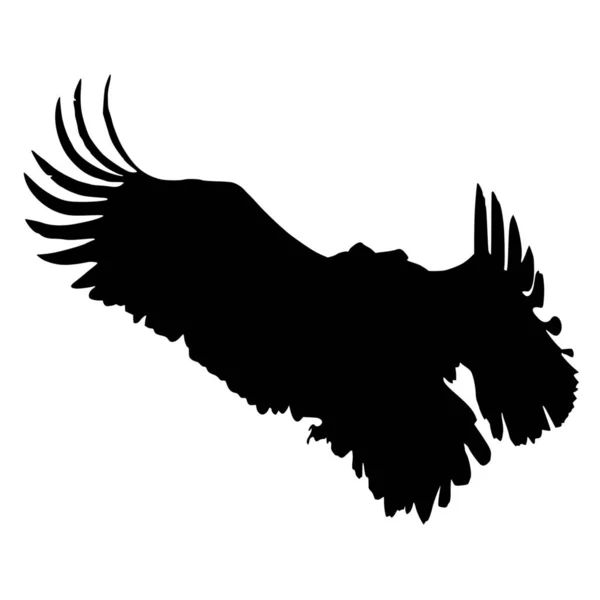 Vektor Silhouette Des Adlers Auf Weißem Hintergrund — Stockvektor