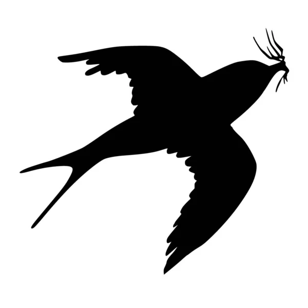 Silhouette Vettoriale Uccello Rondine Sfondo Bianco — Vettoriale Stock