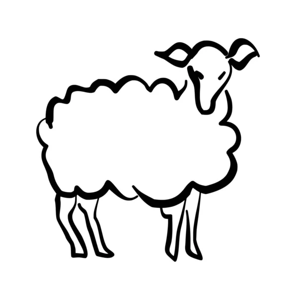 白い背景に羊のベクトルシルエット — ストックベクタ