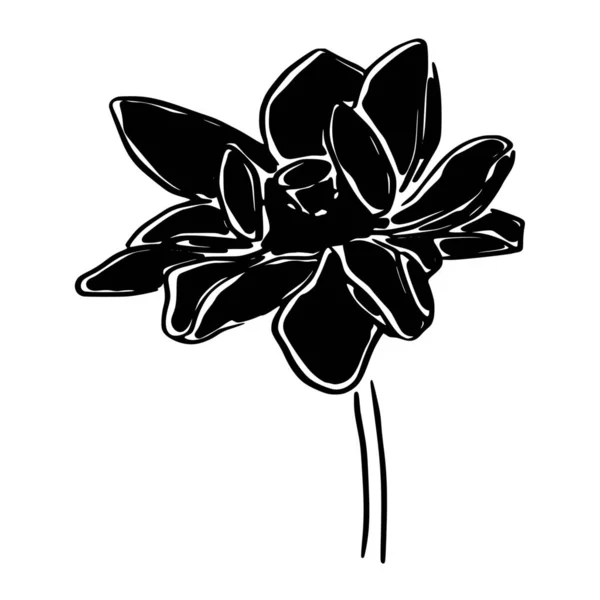 白い背景の花のベクトルシルエット — ストックベクタ