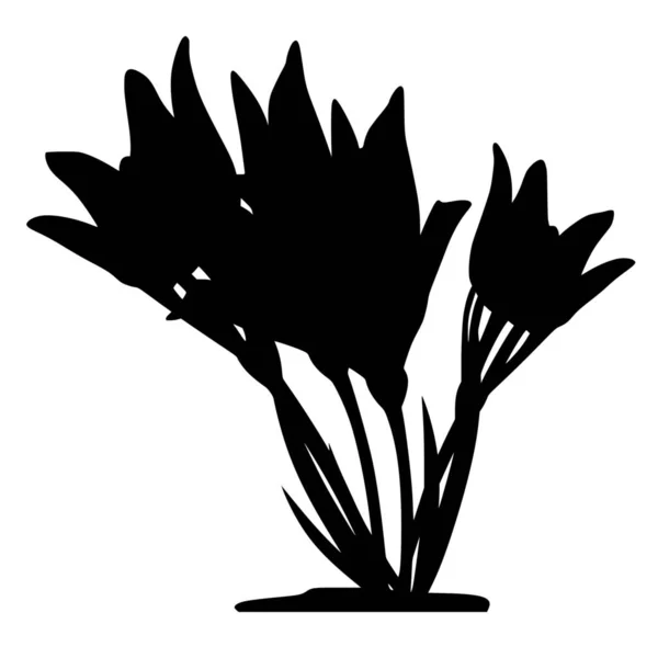 Vektorová Silueta Květin Bílém Pozadí — Stockový vektor