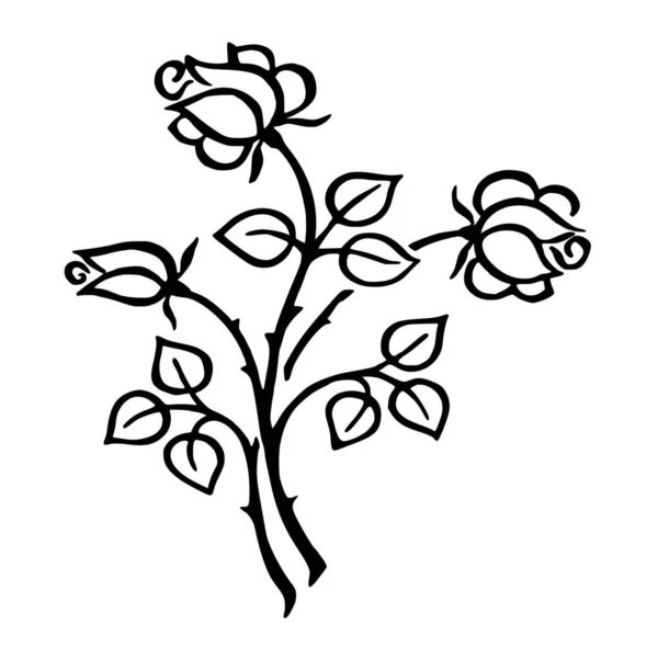 Διάνυσμα Σιλουέτα Του Τριαντάφυλλου Λευκό Φόντο — Διανυσματικό Αρχείο