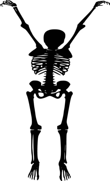 Vektorsilhouette Des Skeletts Auf Weißem Hintergrund — Stockvektor